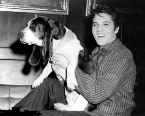 Elvis with Man's Best Friend - Elvis Photos