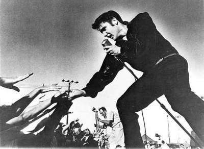 Elvis the King of Rock 